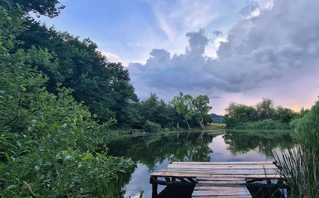 Idylischer Teich mit grünen Büschen runderherum. Im Vordergrund sieht man einen Holzsteg.